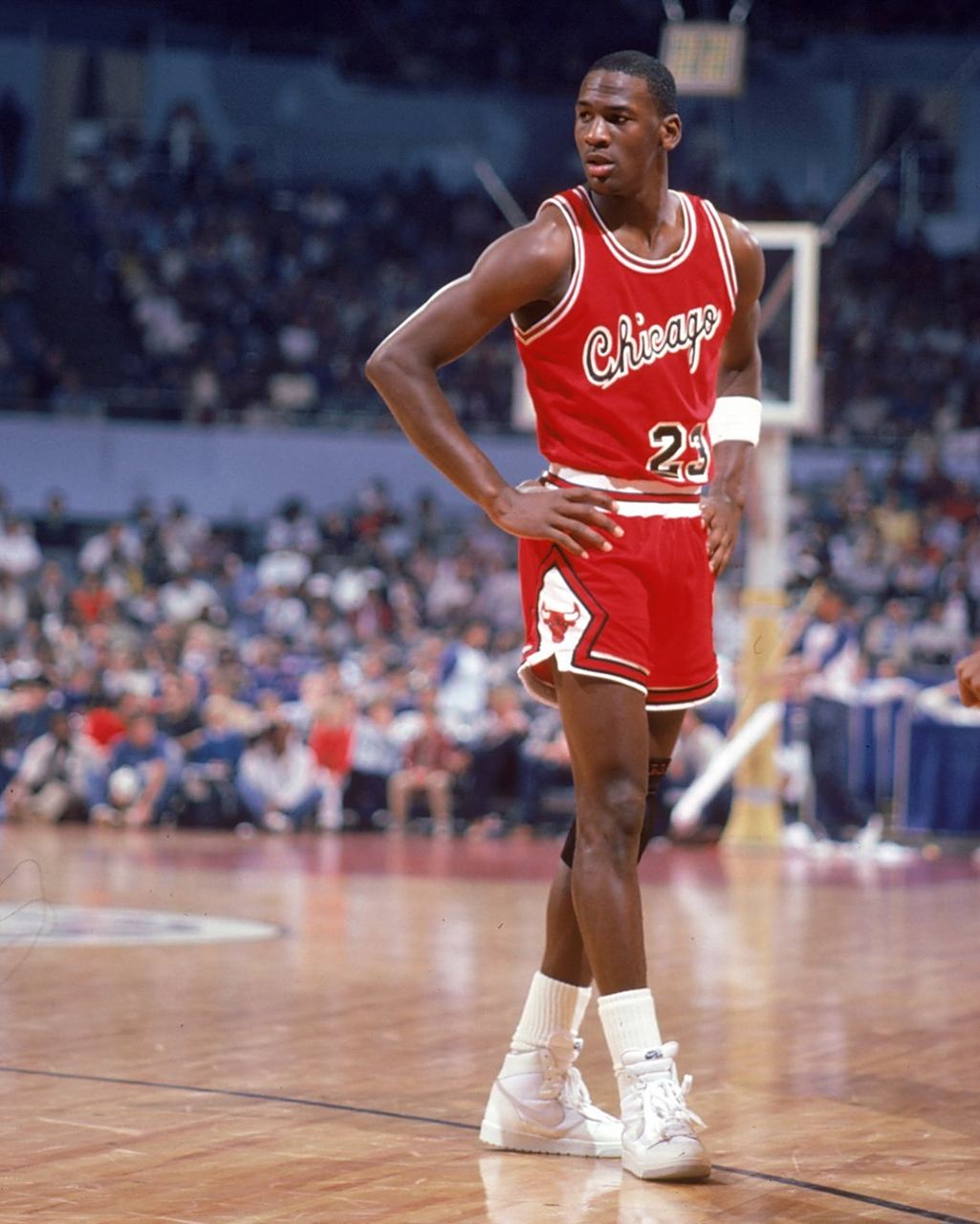 善于抓住机 善于抓住机